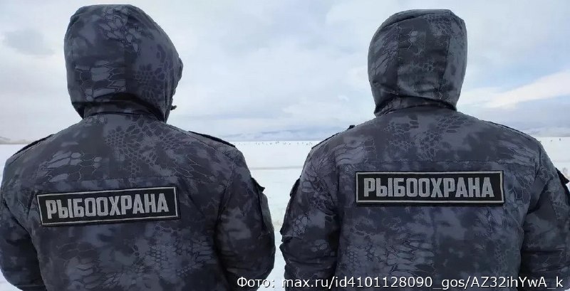 Иллюстрация к посту канала Новости Камчатки - Кам 24