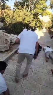מתנחלים מבצעים "השתטחות אפית" במסגד אל-אקצא המבורך.