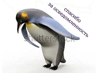 Сегодня международное сообщество отмечает День осведомлённости о пингвинах.