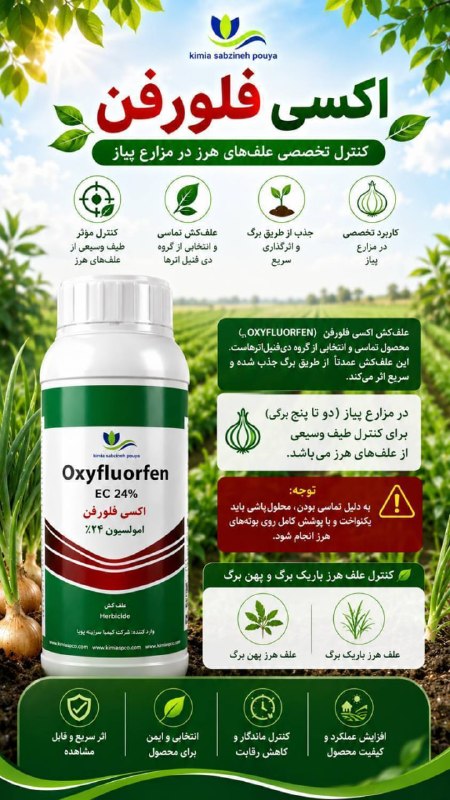گروه شرکت های فراز آسمان: 🧅*اکسی فلورفن | کنترل تخصصی علفهای هرز در مزارع پیاز * علفکش اکسی فلورفن (Oxyfluorfen) یک محصول تماسی و انتخابی از گرو