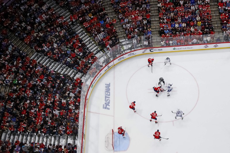 ‘Regrettable’ pro-Israel tweets land Florida hockey exec in penalty box