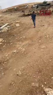 מתנחל משחרר את משק החי שלו בין בתי התושבים בקהילת אלכעבנה - אלקסרת ליד העיירה ענאתה, מזרחית לירושלים הכבושה.