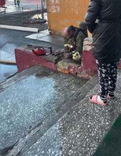 В Тюмени пожарный при тушении квартиры реанимировал двух кошек, сообщили «РИА Новости» в пресс-службе МЧС.В ведомстве рассказали, что всего их сотрудник вынес из дома трех кошек, реанимация потребовалась двум из них. «Все завершилось успешно: ни люди, ни ж