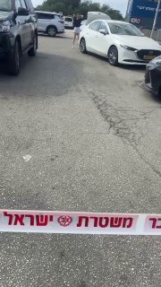 אור רביד