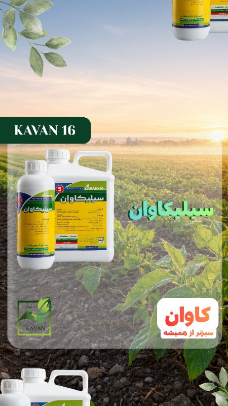 کاوان،سبزتر از همیشه..🌱: رسانه پست