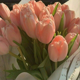 🌸🌺Asmo Flowers🌸🌺