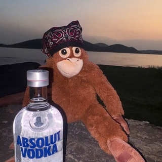 Telegram profile photo for Absolut X Script