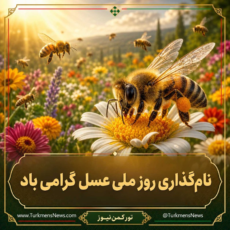 تورکمن‌نیوز 🛜 TurkmenNews: 🍯 ۳۱ مرداد؛ روز ملی عسل گرامی بادعسل، حاصل هم‌نشینی شگفت‌انگیز طبیعت، تلاش زنبورهای پرتلاش و صبوری زنبوردارانی است که با