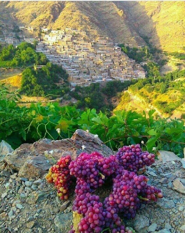 ایران زیبای من♥️🌹My Beautiful Iran: ایران سراسر دیدنی دولاب ، کامیاران کردستان زیبا