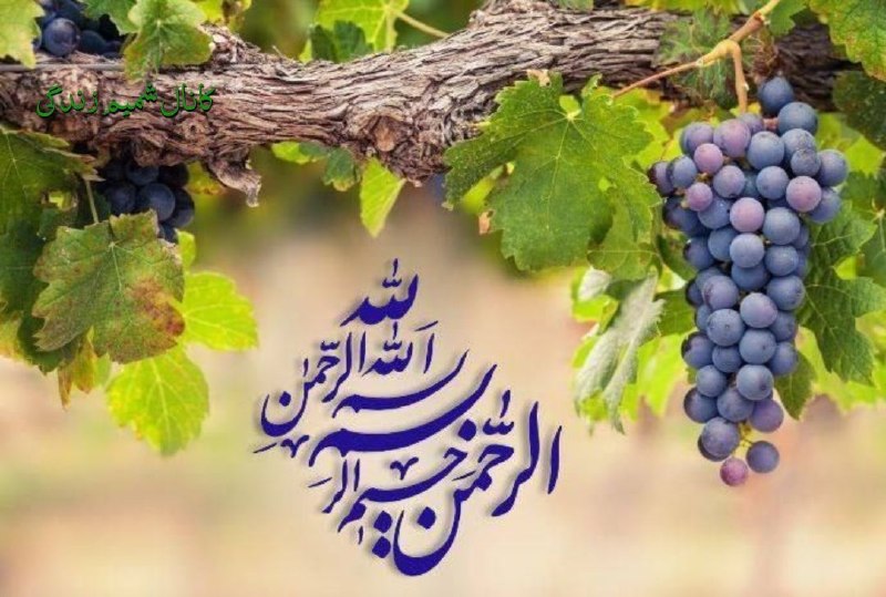 🌹چشم ب راه یوسف زهرا س🌹: .💚خـداونـدا یاریمان کن بر کلاممانمسلط باشیم و بانارضایتی سکوت نکنیم حرفی را که بر زبان میرانیم ناحق و خارج ازعدل نباشد .