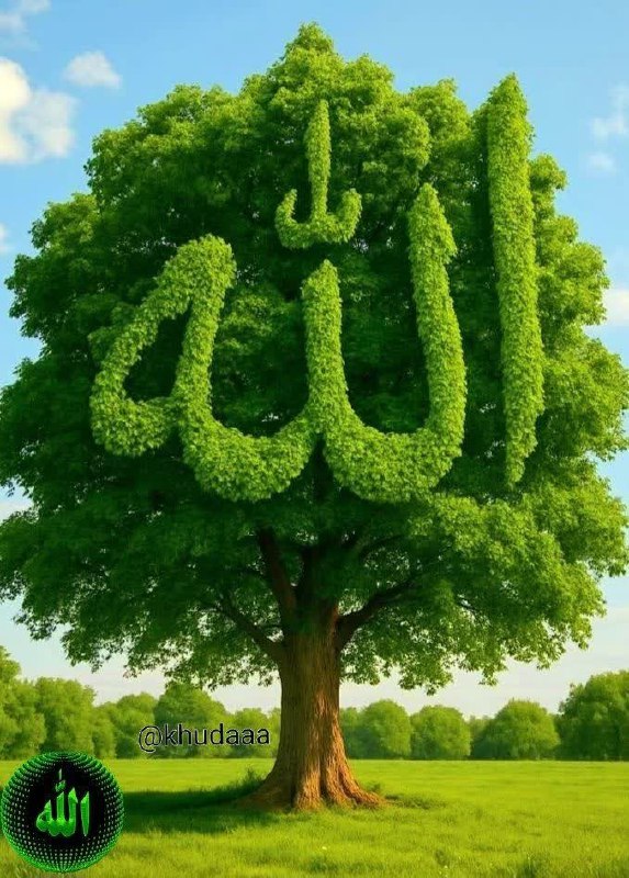 ذڪـر رۅزانـہ: پنجشنبه تون بخیر💥 بعدازنمازظهر💥✨لَاإِلَهَ إِلّا اللَّهُ الْعَظِيمُ الْحَلِيمُ لاإِلَهَ إِلا اللَّهُ رَبُّ الْع