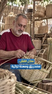 "סלי קש"... מקור פרנסה ומקצוע מסורתי הנאבק לשרוד באזור בדהן, צפונית מזרחית לשכם.