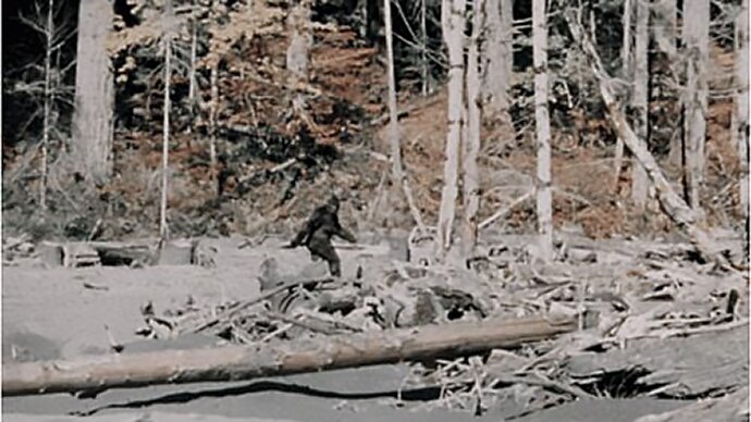哈囉，佛州大腳怪（Bigfoot）