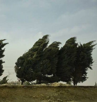 ایران نیوز: وزش باد شدید در تهران🔻 اداره کل هواشناسی استان تهران: بر پایه واکاوی الگوهای همدیدی و بررسی نقشه‌های پیش‌یابی، طی پنج رو