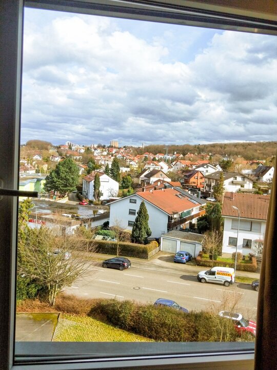 普福爾茨海姆日記