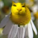 я ржу ᴄᴏɴꜰᴇꜱꜱɪᴏɴ