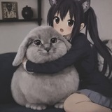 лата борется с кп|🪽