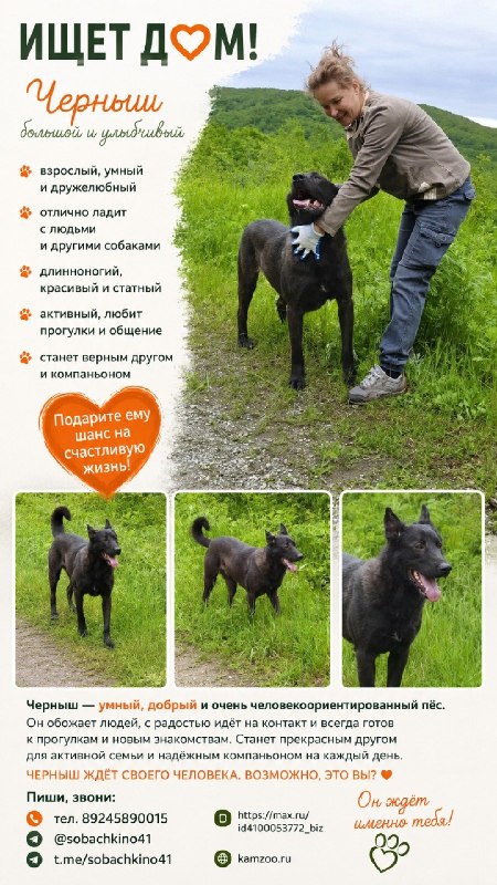 @help_animal41 posted a photo