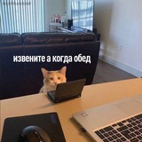 Дозямпо пашет