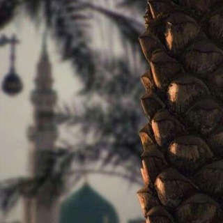 Telegram profile photo for دَارُ هِجْرَةِ رَسُولِ اللَّهِ ﷺ.