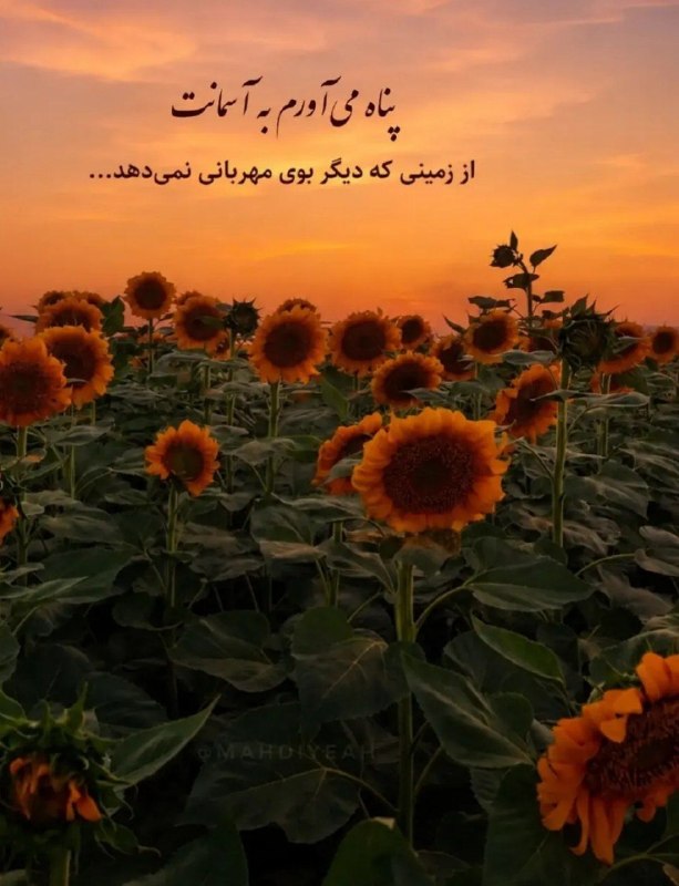 🎆🎀 فتونایس 🎀🎆: پناه می آورم به آسمانت....#عکس_نوشته 🌻🍃@photoniceee✿࿐༅࿇༅࿐✿