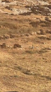 פרובוקציות יומיומיות..