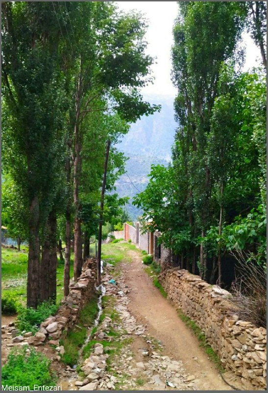بابل روز: جانا به خرابات آ تا لذت جان بینیجان را چه خوشی باشد بیصحبت جانانه#مولانا#لهه، #بندپیشرقی بابلعکس: #میثم_انتظاری🆔 @babo