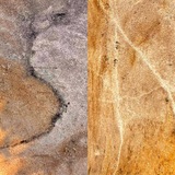 Soil ART