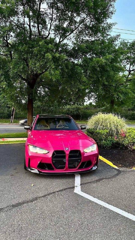 https://t.me/bmw_mpower_club