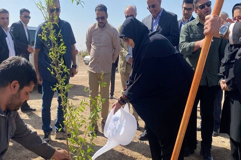 🔸 שינה אנסארי, סגנית נשיא: מימוש הצדק הביולוגי והתועלת של כל האנשים מסביבה בריאה הוא אחד מסדרי העדיפויות ש…