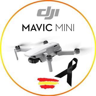DJI Mavic Mini 🇪🇸 Telegram Group Link