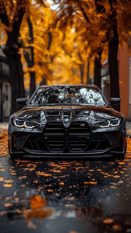 BMW M Powerhttps://t.me/bmw_mpower_club#bmw #mpower #bmwmpower #bmwworld #bmwmpo