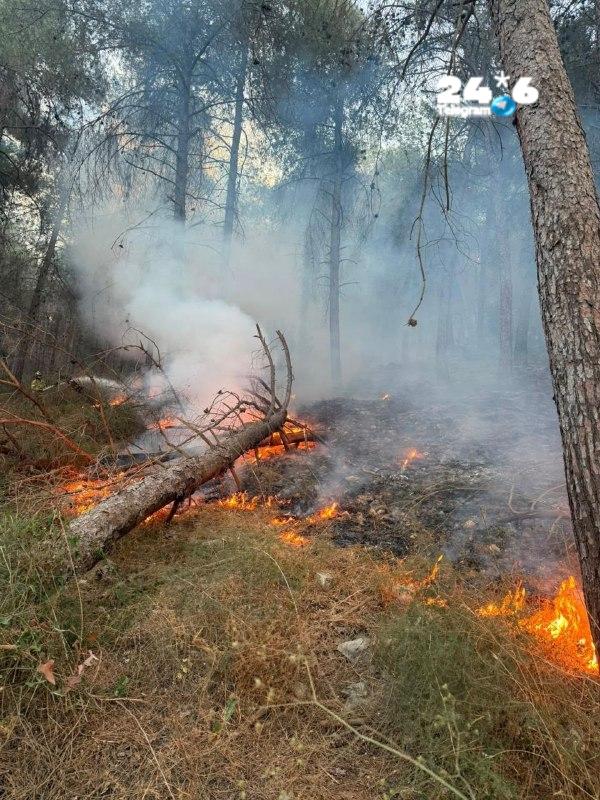 🇮🇱 לאחר למעלה מארבע שעות - הושגה שליטה על השרפה ביער בית קשת.
