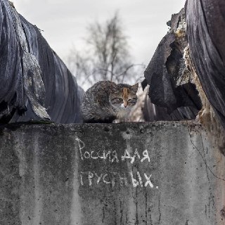 Индекс счастья россиян упал до минимума почти за 15 лет, следует из данных ВЦИОМ.По итогам апреля уровень счастья снизился с 56 до 52 процентных пункта. По данным ВЦИОМ, это самое низкое значение с сентября 2011 года, когда индекс находился на уровне 41 пу