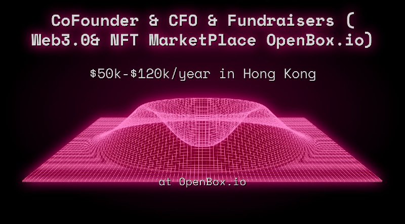 CoFounder & CFO & Fundraisers ( Web3.0& NFT MarketPlace OpenBox.io) $50k - $120k in Hong Kong at OpenBox.io