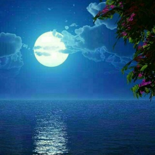 Telegram profile photo for شعـر ڪــوتاه