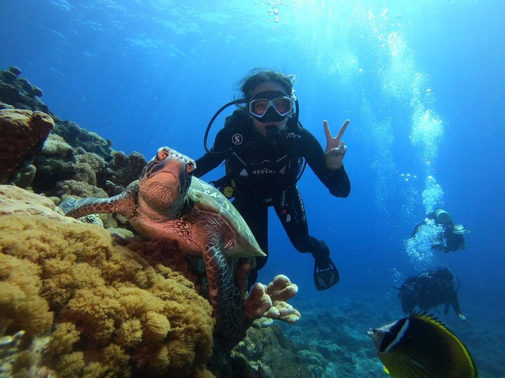 拖延病患者的綠島潛水日記