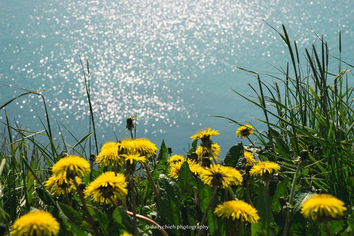 [冰島] 仲夏露營體驗 — 露營準備清單、六個特色營地推薦 (上)