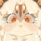 Xandzeer ᓚᘏᗢ 𓆟