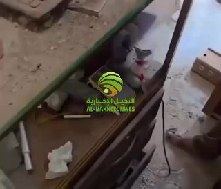 🇮🇶 חדשות אל נחיל 🇮🇶