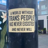 Queer-friendly therapists