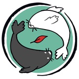 Seal&Tea – новисадская чайная