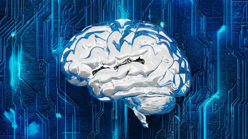 🧠 איך המוח והגוף שלך מגיבים לשהייה ארוכה בשקט ובבדידות?