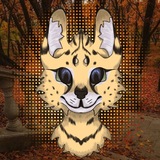 ᯓ𓍊𓋼ɞ ૦ς૯ⲏⲏ૯ⲙ ηɑƿκ૯ ς κɑʌυης૦🐆🍂