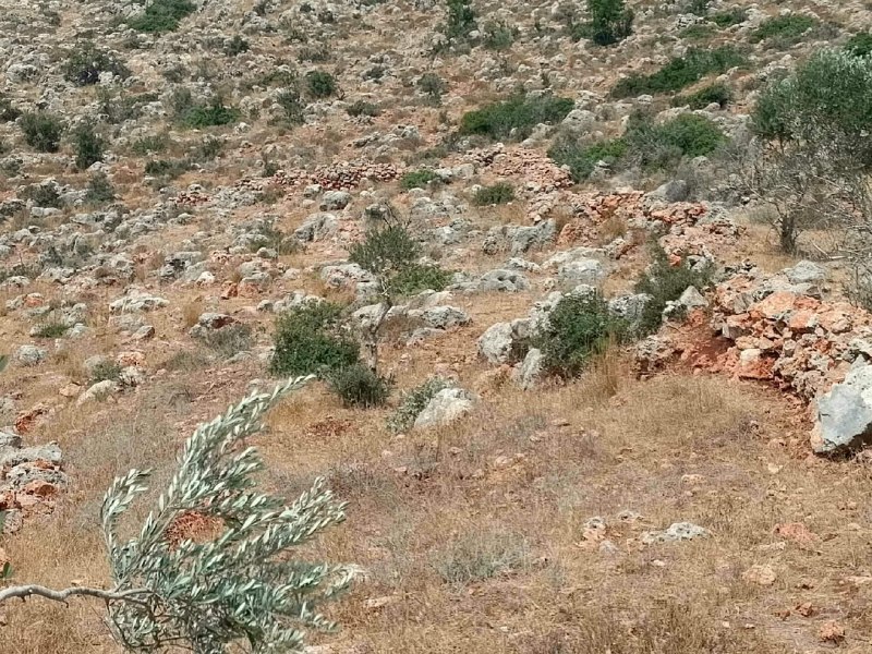רשת חדשות ירושלים