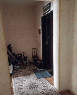 Toshkent shahar, olmazor tumani:Medgaradok-2-38, Orentr:Ofarin toyhona