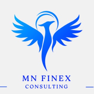 MN Finex