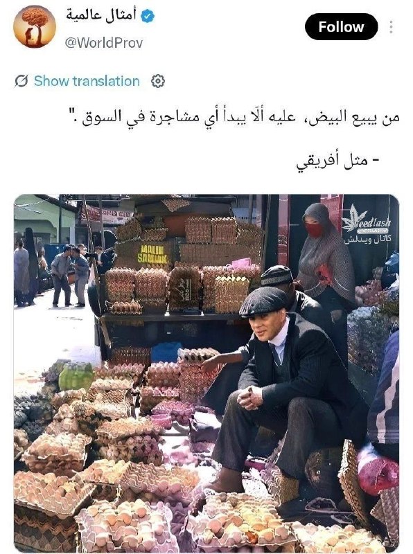 ویدلش | weedlashya: ضربالمثل آفریقایی میگه :کسی که تخممرغ میفروشد نباید توی بازار دعوا راه بیندازد.Hani @Weedlashya 🍁