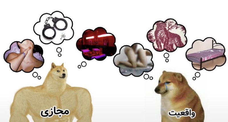 [ احمق … ]: تفاوت های سکس و سکس چت (ورژن وطنی) :@ahmaq #Lasso