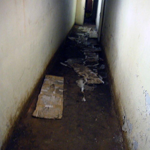 Фото из отзыва 2